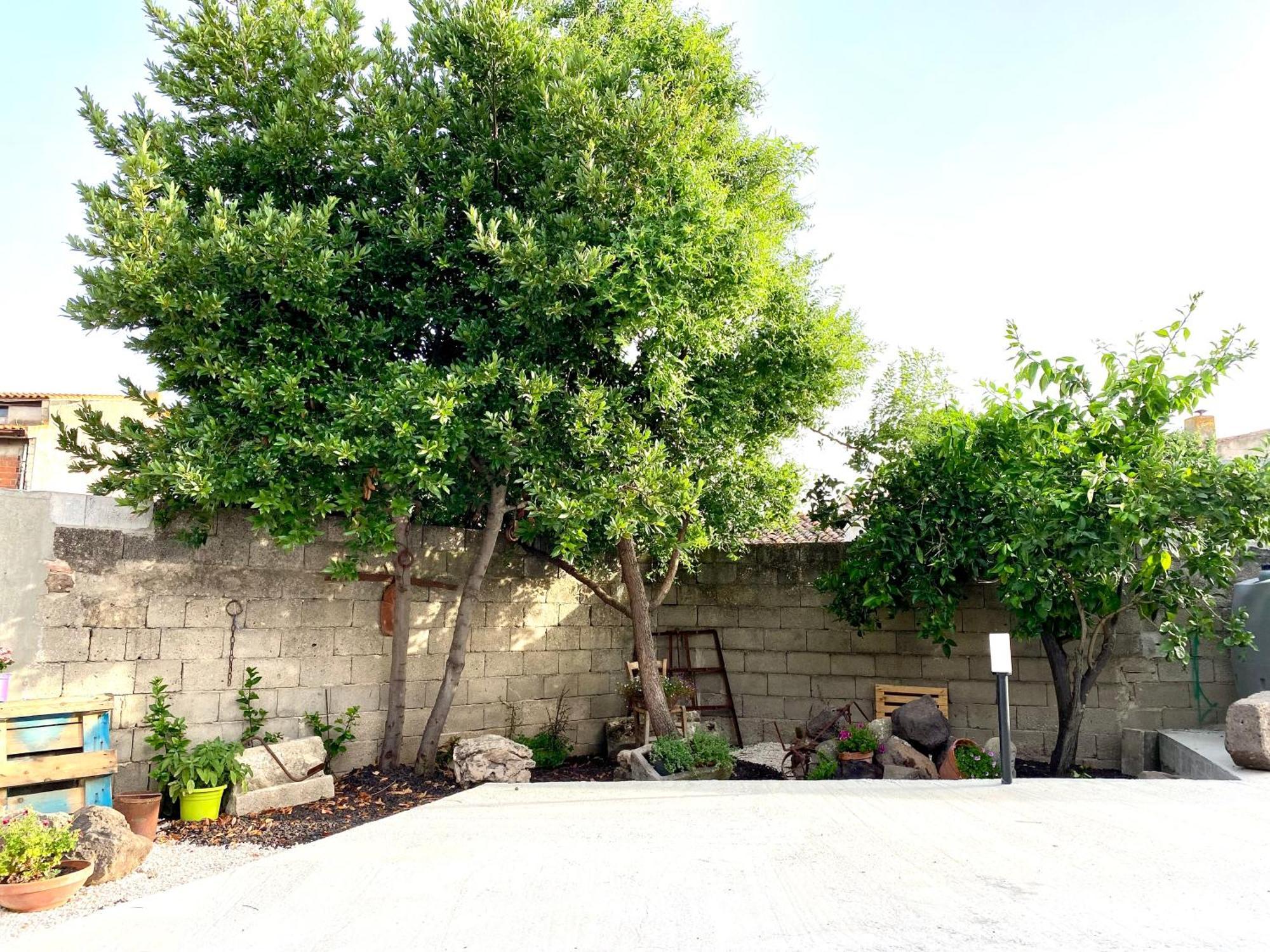 Casa Mora Apartment San Vero Milis ภายนอก รูปภาพ
